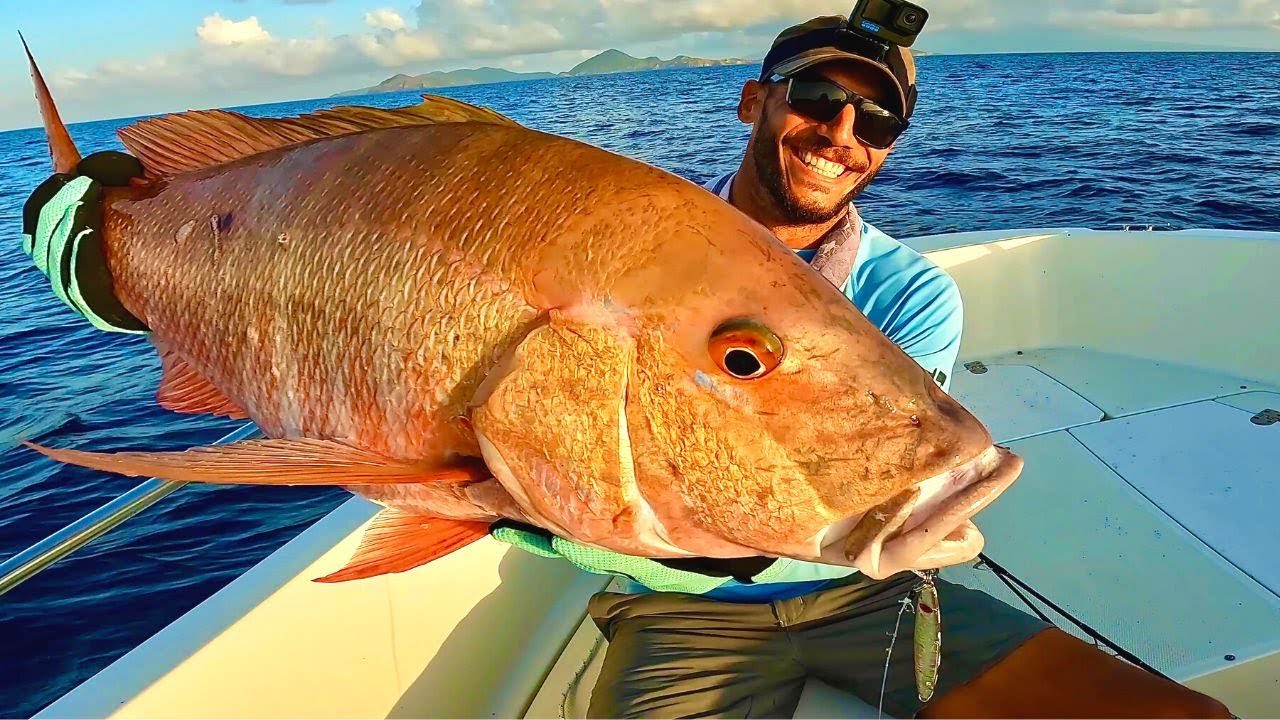 Énorme Pagre Vivaneau Au Jig - Saison Des Baleines (Caraïbes)