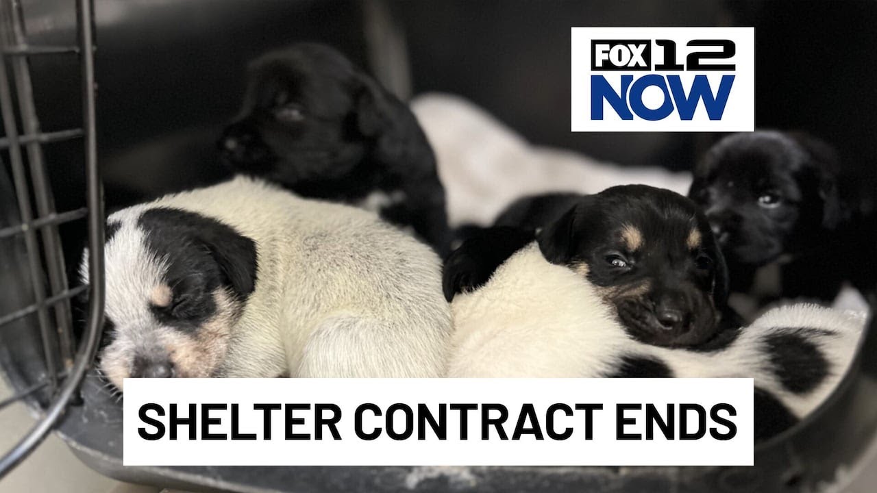 Cowlitz County ends shelter contract with Humane Society for SW Washington