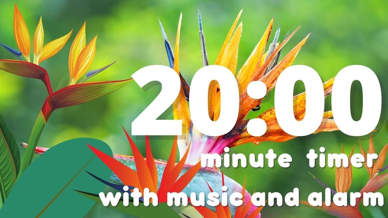 20 min Birds of Paradise Countdown Timer with Alarm | Dubstep Lofi Music | Picture Reveal