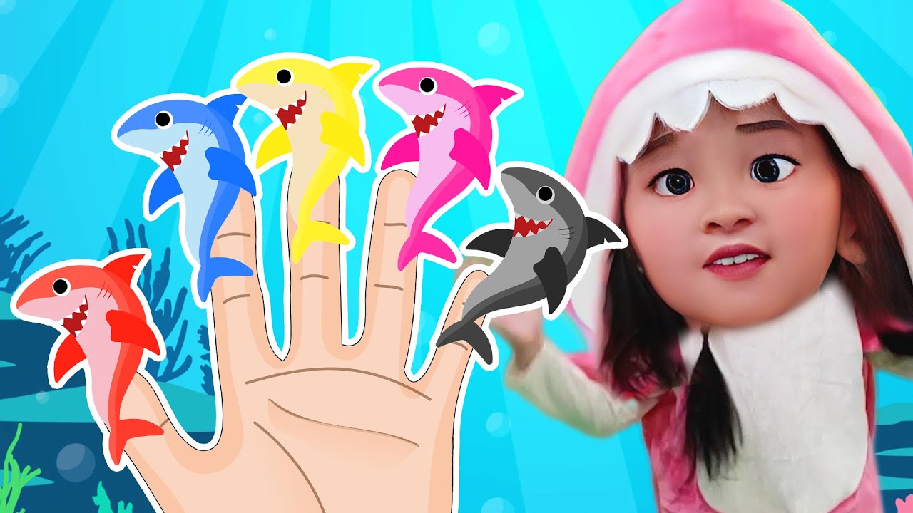 Baby Shark Colors Finger Family | DoReMi Kids Songs