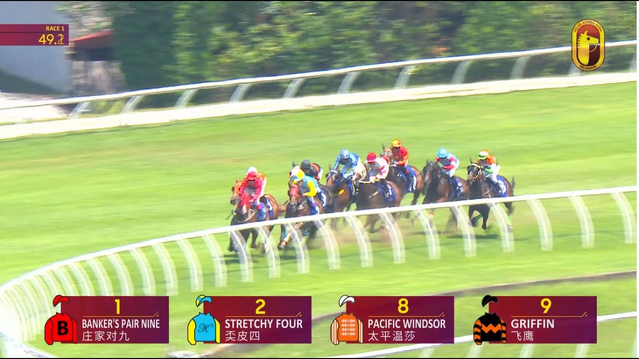 08 FEB 2026 RACE 1