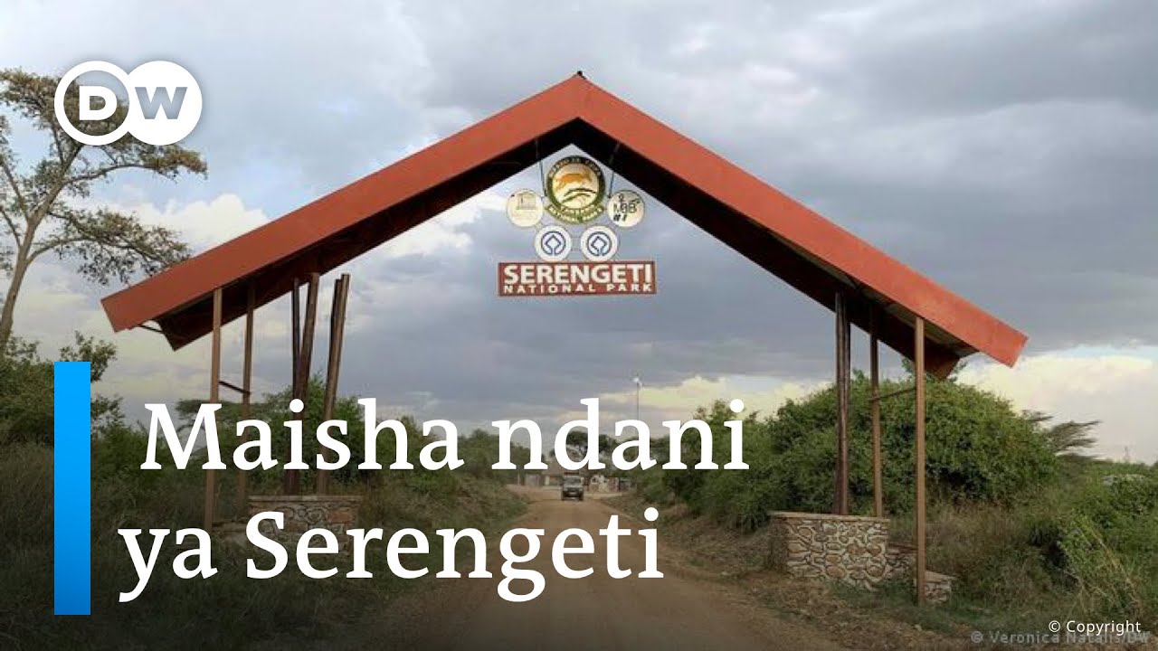 Maisha ndani ya msitu wa Serengeti