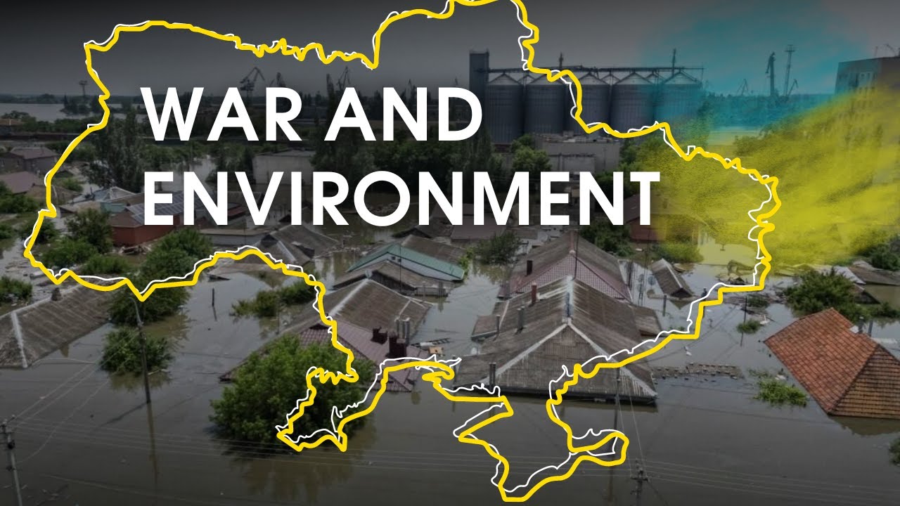 How can Ukrainians protect the environment during wartime? Ukraine in Flames #618