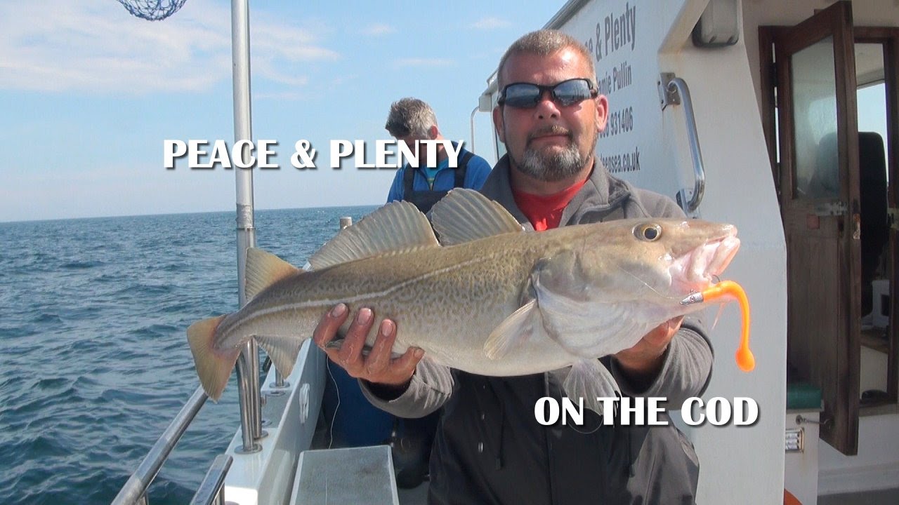 Peace & Plenty charter boat out of Weymouth with Allan Yates from Seabooms.com