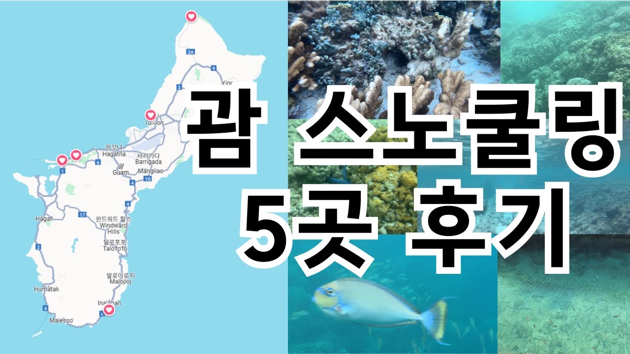 괌 스노쿨링 BEST 5 🐠 커플 여행지 추천 후기 | Guam Snorkeling Vlog