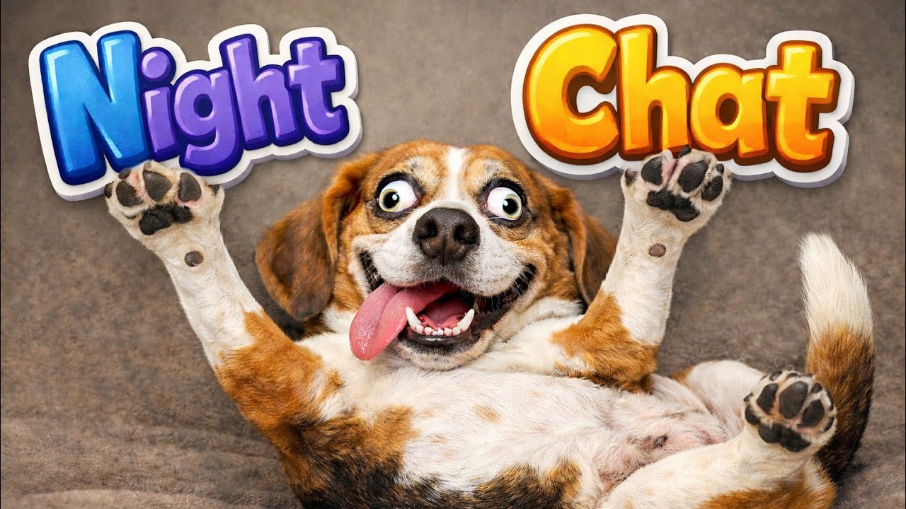 Night Chat 3/3/26