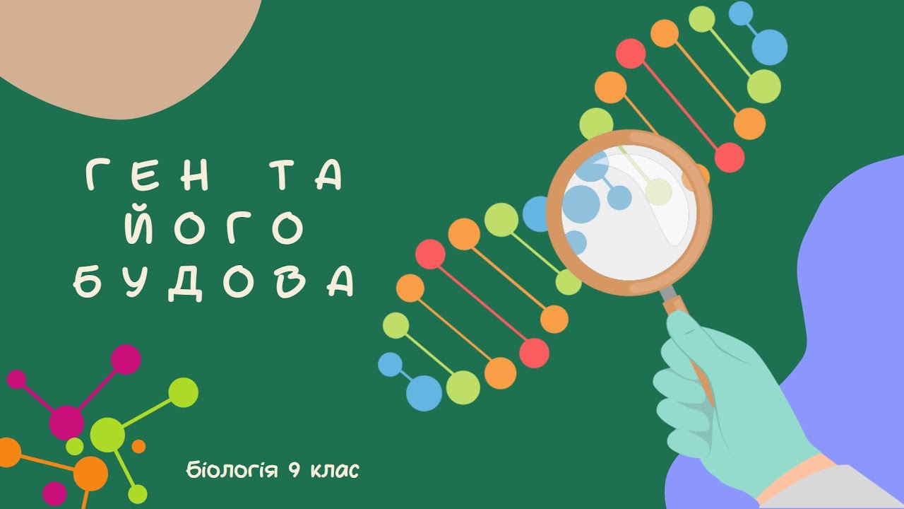 Біологія 9 клас  Ген та його будова