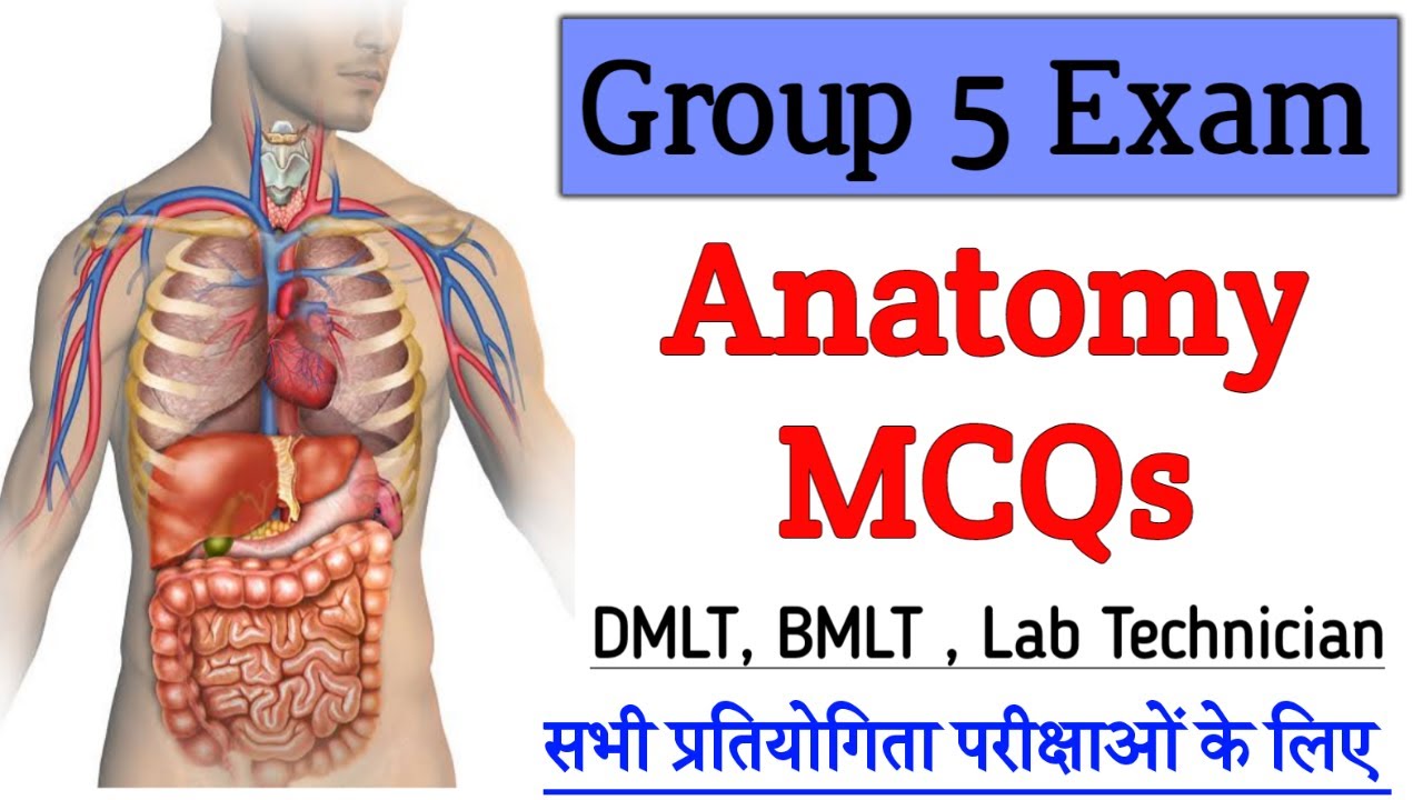 Anatomy MCQs All Comptitive Exam , Lab Technician Group 5 Exam⏳ 