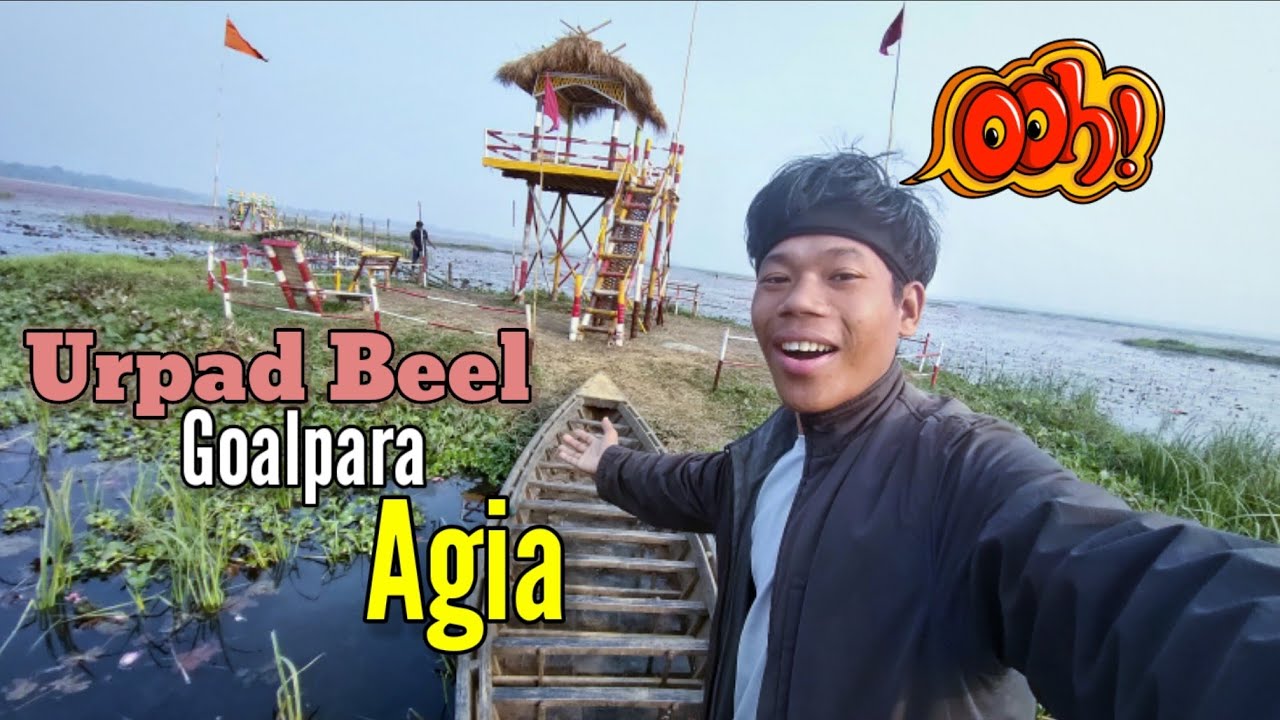 First time in Urpad Beel 2023 || water lilies view point  || urpad beel Goalpara #viral #place