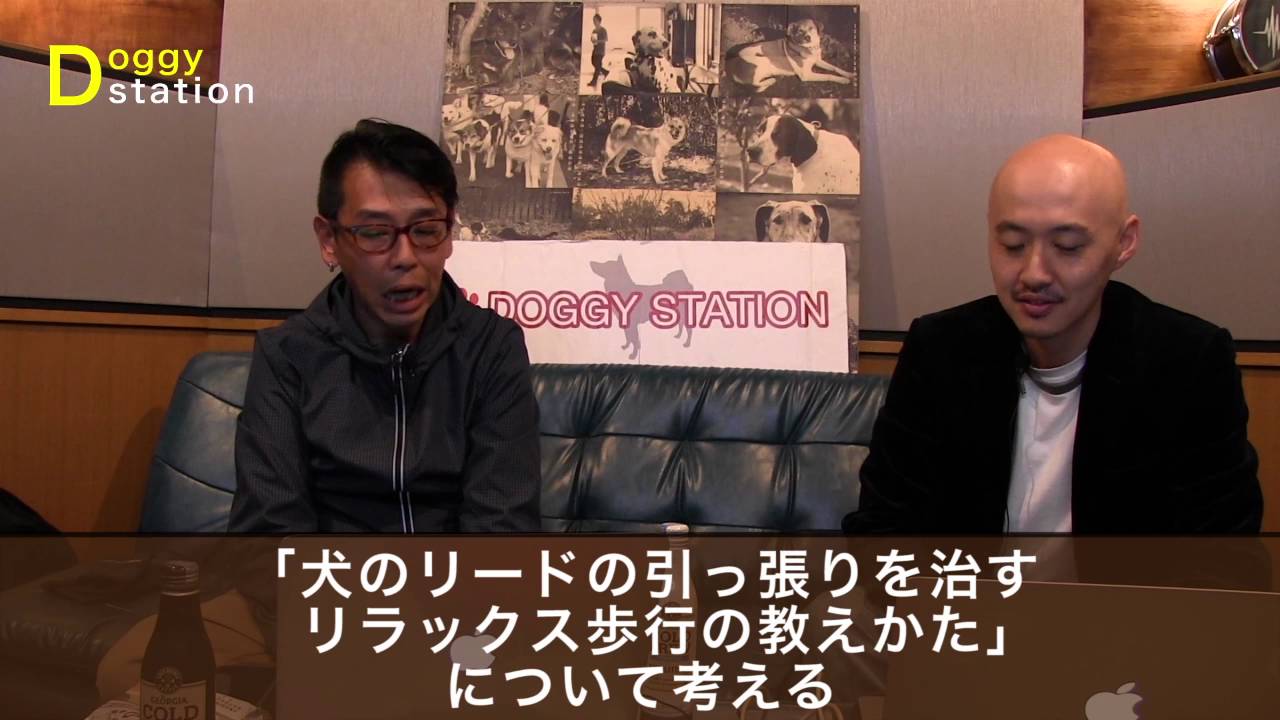 【解説】犬のリードの引っ張りを治す：DOGGY STATION Vol.30 (愛犬と人との暮らしを考える番組)/犬のしつけ・問題行動・ドッグトレーナー・ドッグビヘイビアリスト