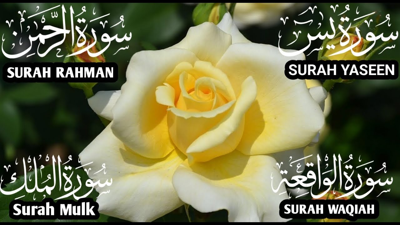 سورة يس والرحمن والواقعة والملك ✦ اسمعها بنية تيسير الحال وجلب الرزق ✦#اكسبلور #qurantranslation