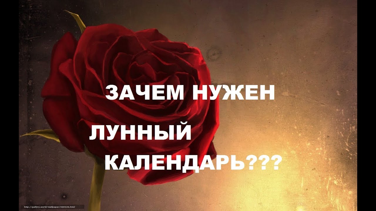 КАК ПЛАНИРОВАТЬ ЖИЗНЬ ПО ЛУНЕ. ЛУННЫЙ КАЛЕНДАРЬ