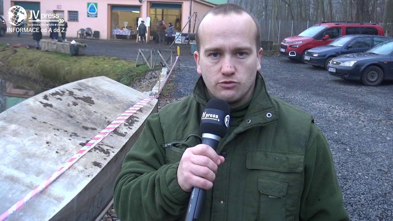 Rybáři zahájili tradiční prodej vánočních kaprů ale i jiných šupináčů
