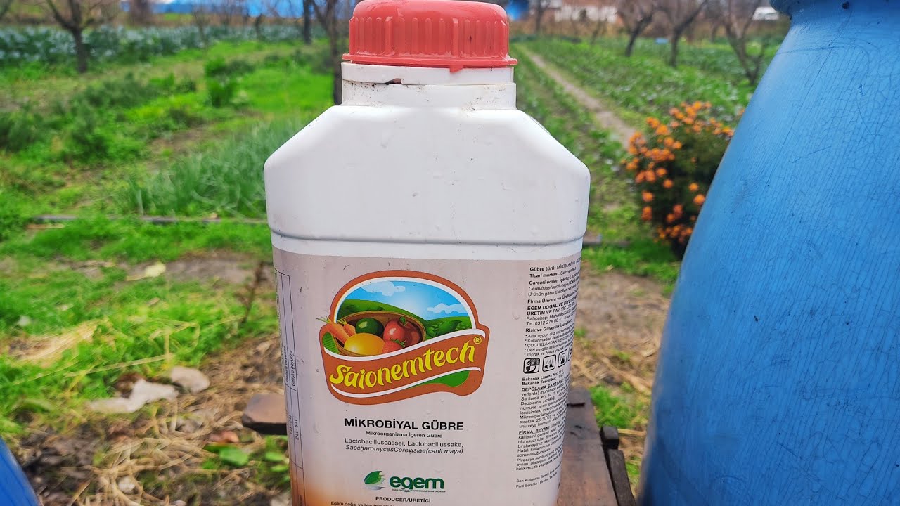 Mikrobiyal Gübre Uygulaması