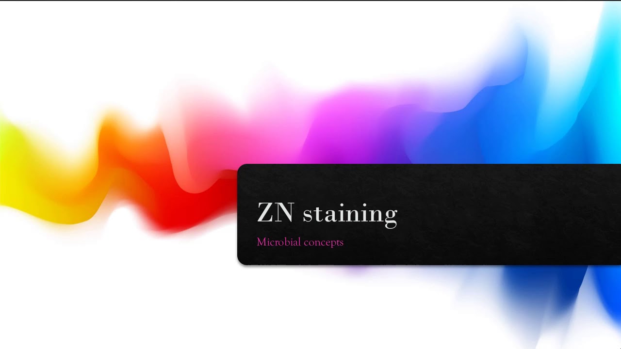 ZN / Acid fast staining with Viva ques | FY BSc Microbiology practical series | Staining techniques