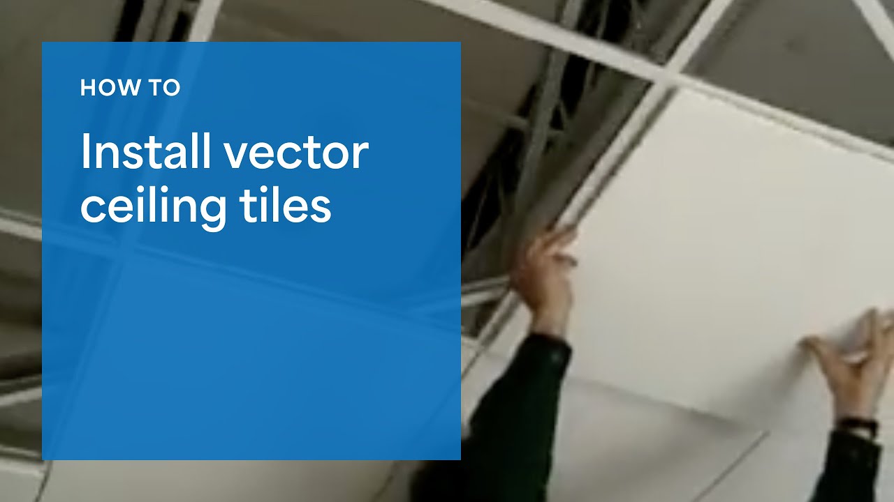 Vector Ceiling Tile Installation | Easy Ceiling Installation Video