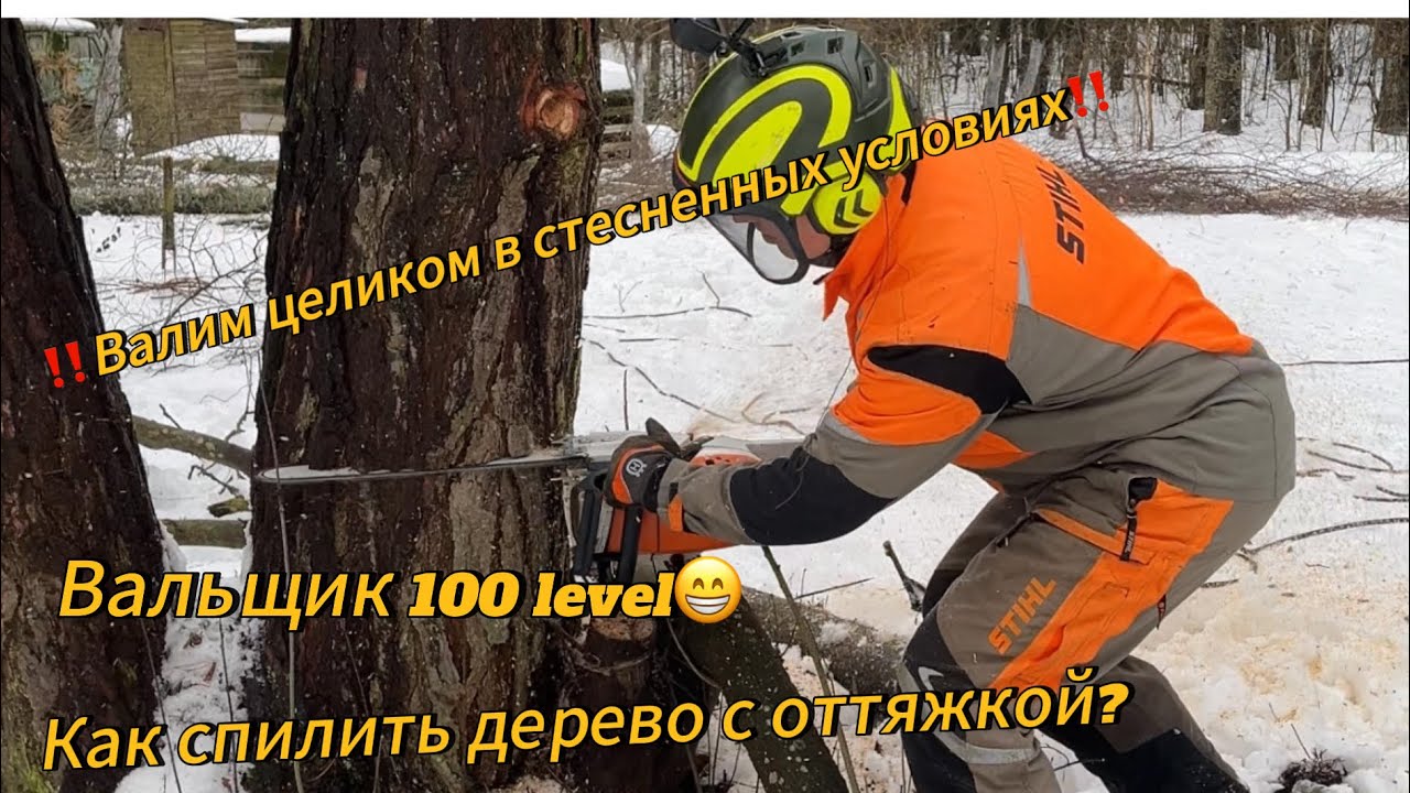 Арбористика!!Удаление аварийных деревьев целиком! Стесненные условия валки! Как спилить с оттяжкой?