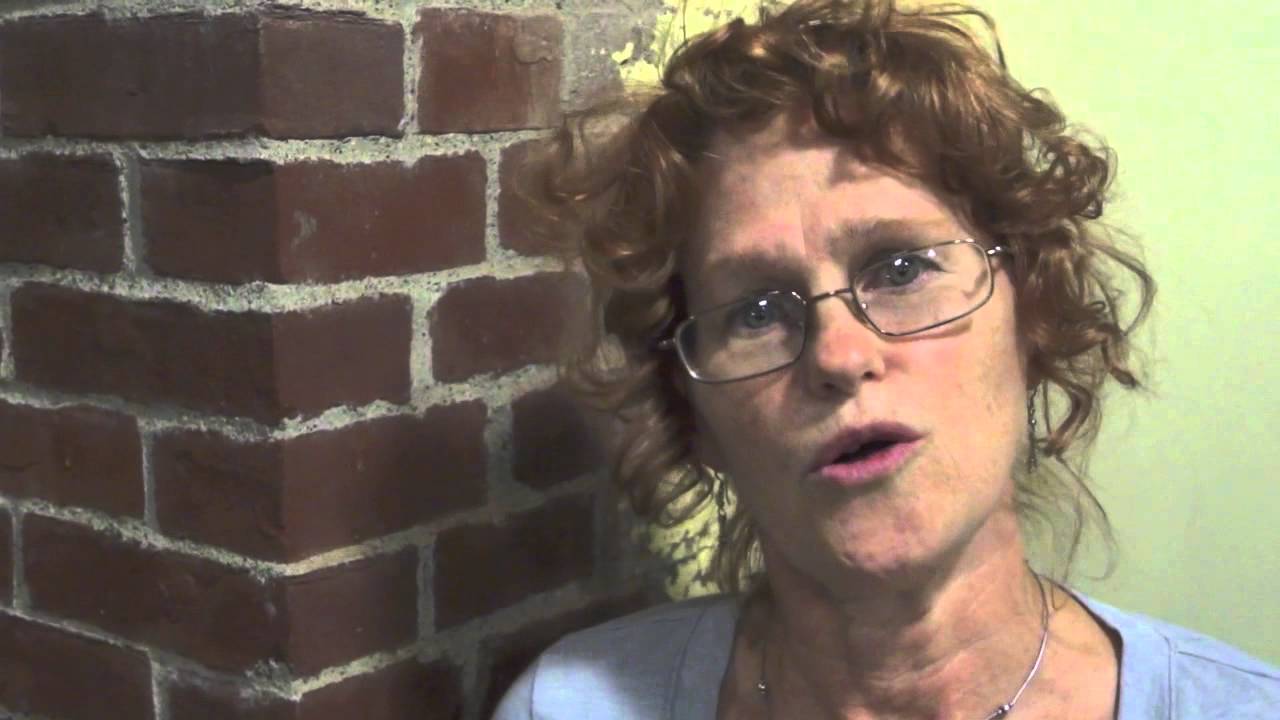 Lin Maloney Fannie Mae Foreclosure Story