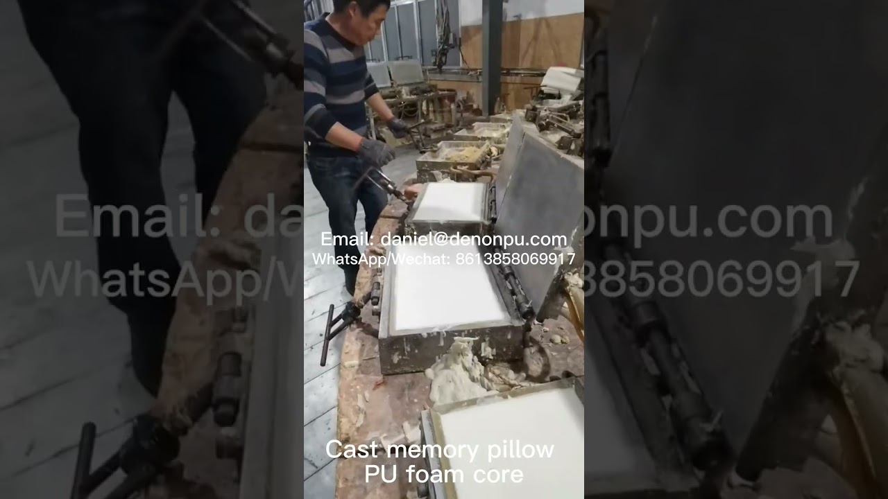 Cast memory pillow PU foam core