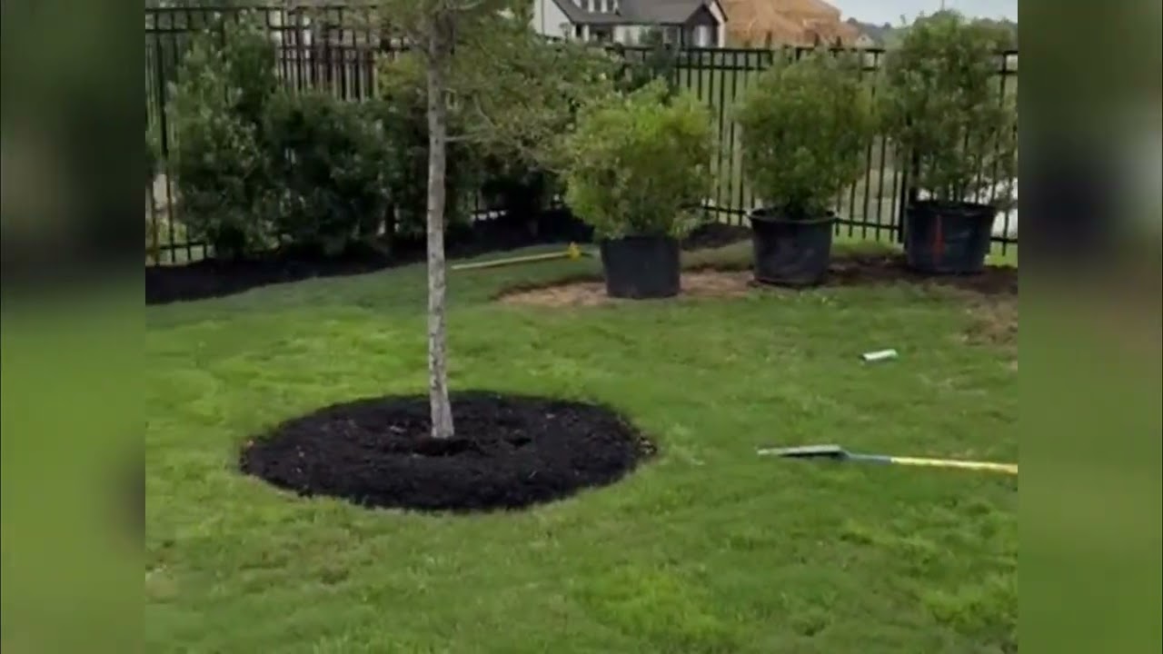 Landscaping Before & After | Real Yard Transformation – All Set In Stone