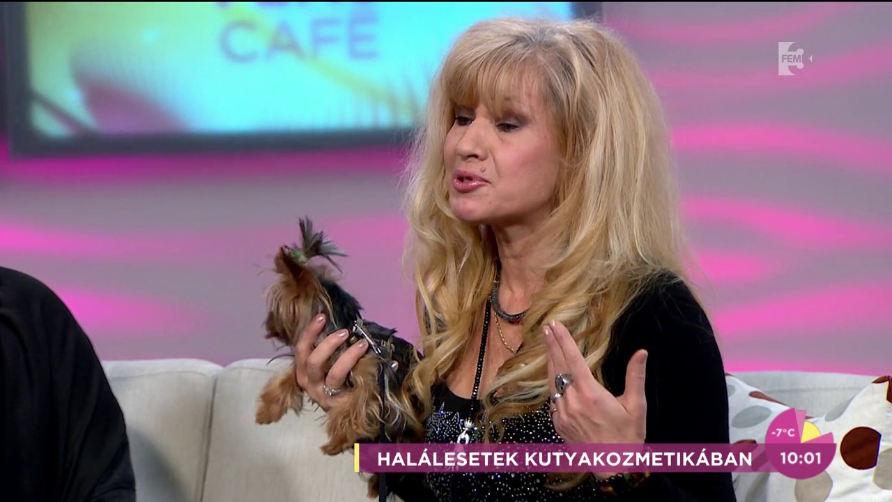 Bíró Ica felháborodott a kutyakozmetika után elpusztult yorkik miatt - tv2.hu/fem3cafe