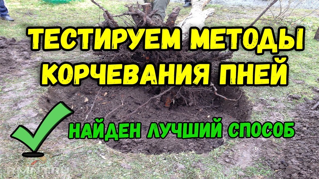 Выкорчевывание пней своими руками. Тестируем способы выкорчевывания на даче часть 1.