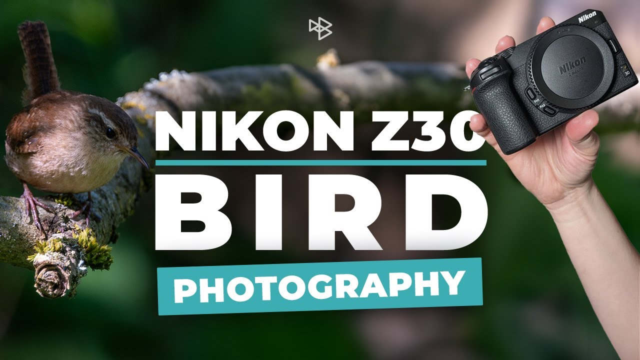 Я фотографировал птиц на Nikon Z30! Вот что получилось