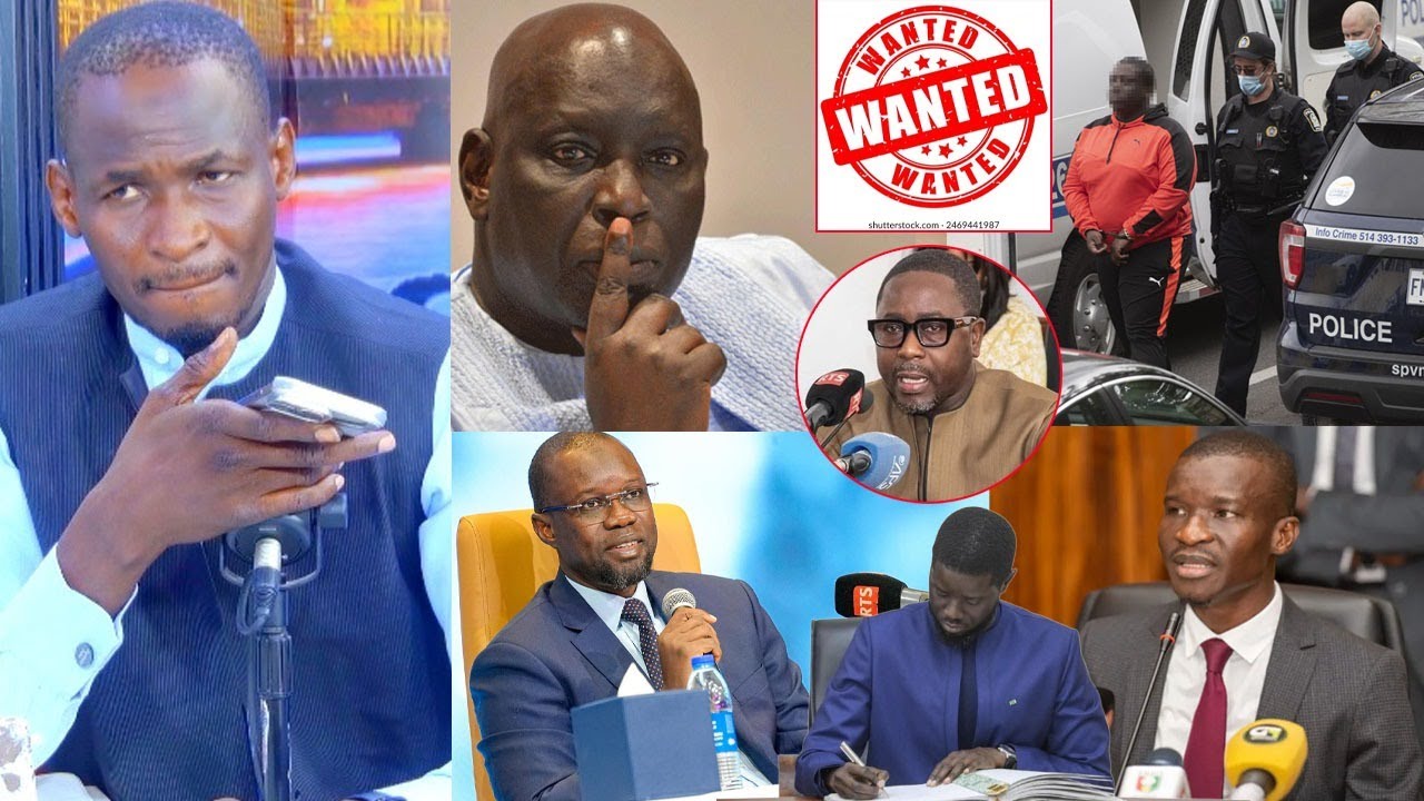 Arrestation de Madiambal- Interpol activé- Me Bamba Cissé savonne- Pape Alé avertit- Sonko allerte