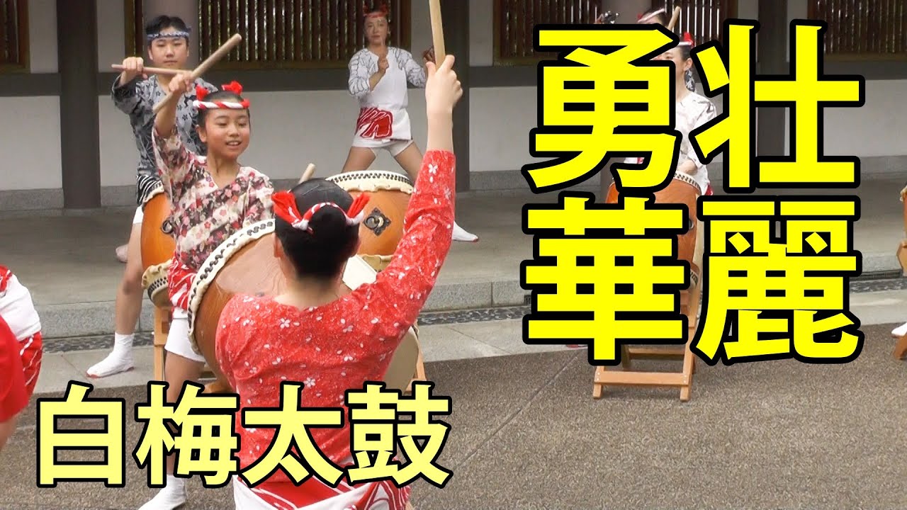 白梅太鼓　勇壮華麗　2025湯島天神例大祭　2025.5.25