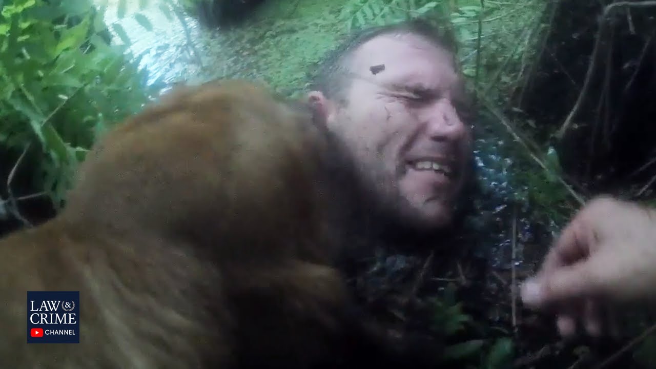 Police K-9 Dog Licks Suspect's Face After Locating Him in Florida Swamp