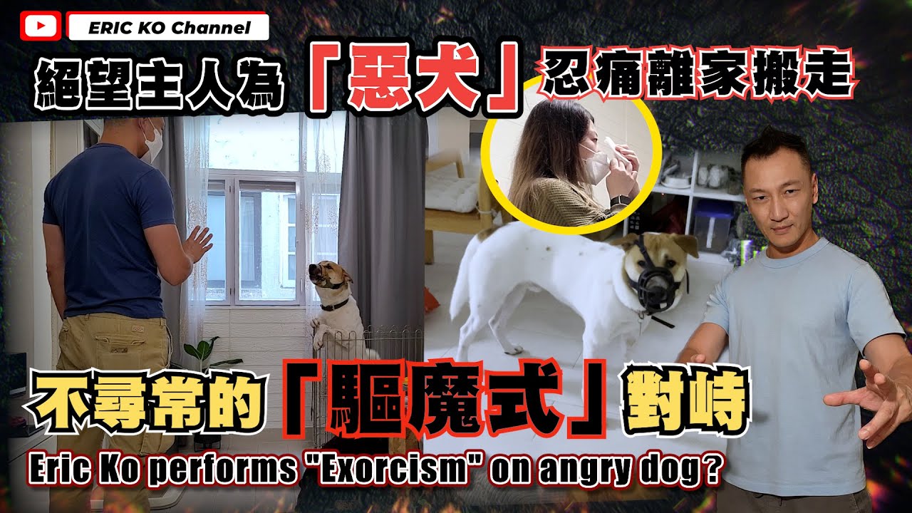 絕望主人為「惡犬」忍痛離家搬走不尋常的「驅魔式」對峙Eric Ko performs 