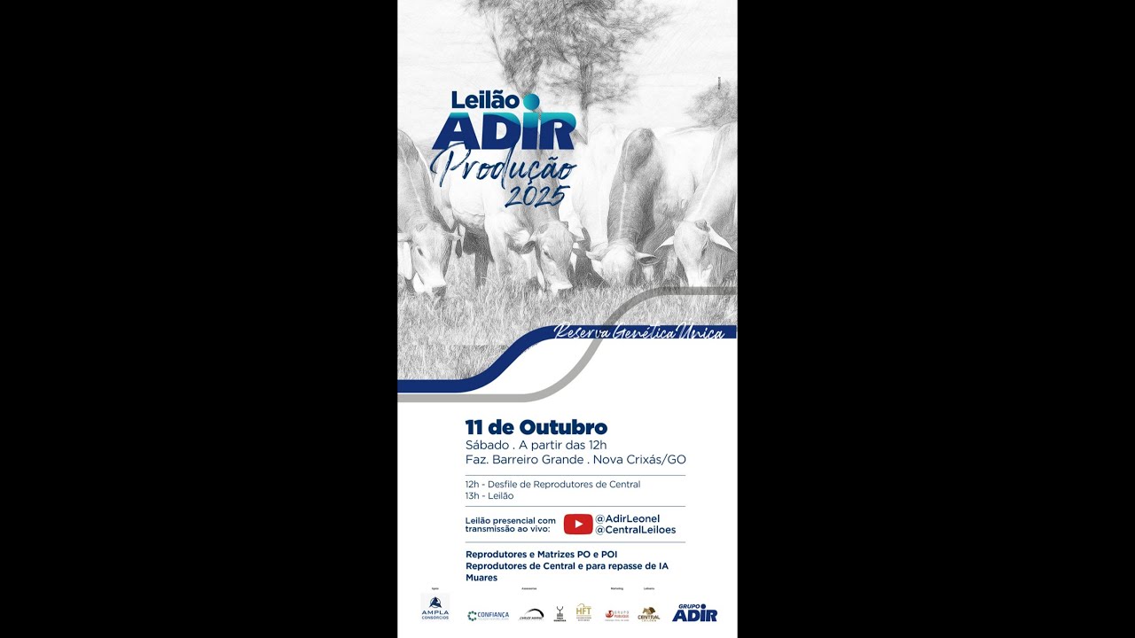 LEIL&Atilde;O ADIR PRODU&Ccedil;&Atilde;O 2025 - 11 de outubro 13h