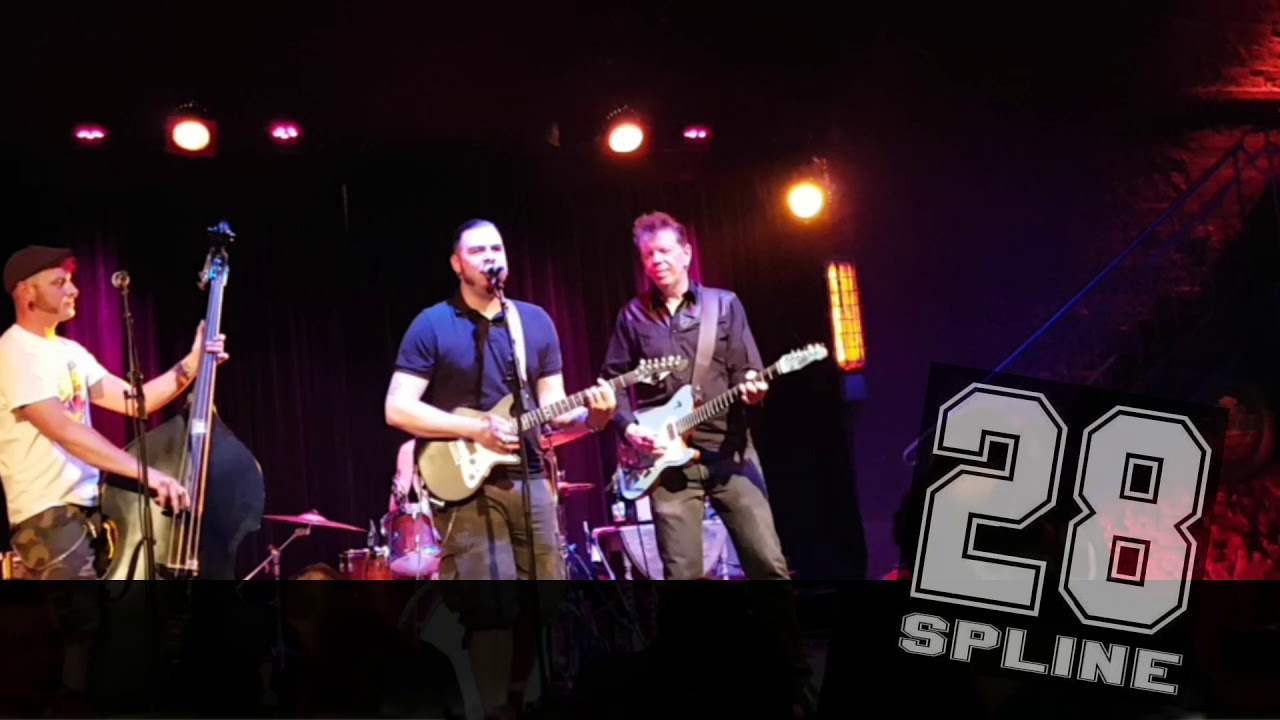 28 Spline - Wild
