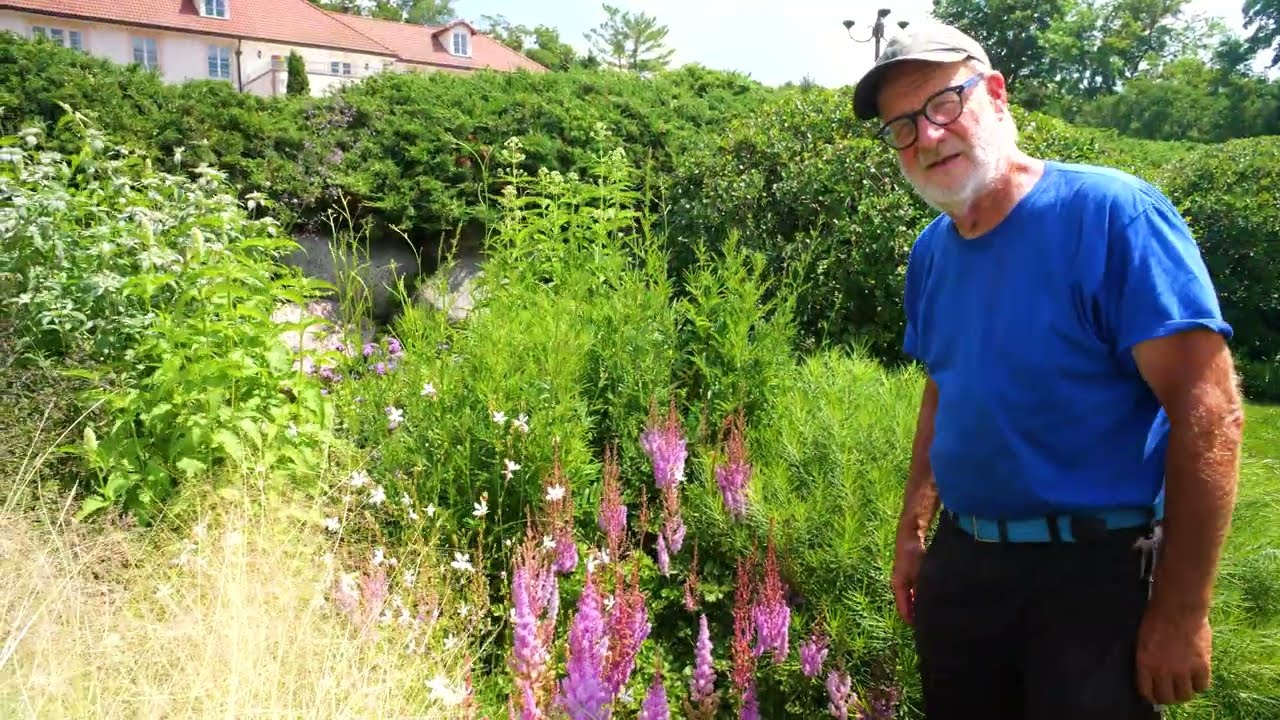 This Garden Is Peaking At The Right Time!  Episode 