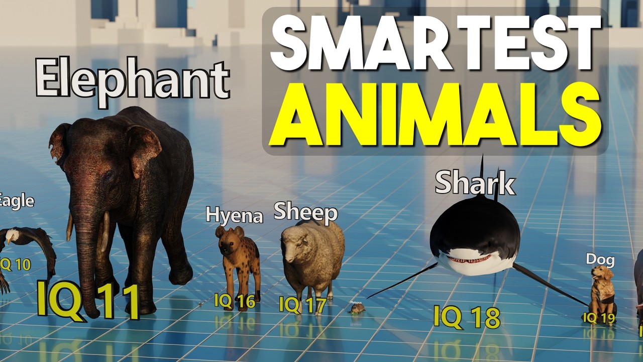 Animals IQ Comparison - Smartest Animals