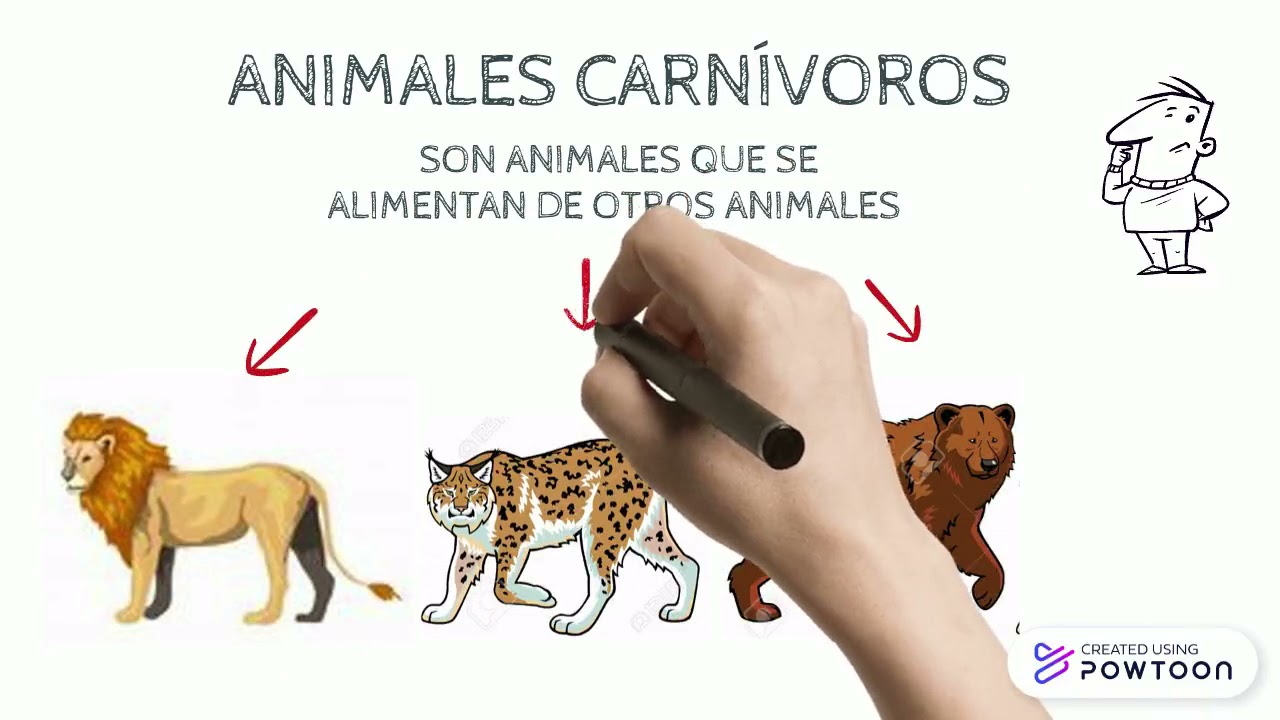 RED ALIMENTARIA