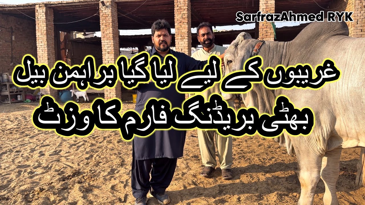 Bhatti breeding farm Ahmed pur east