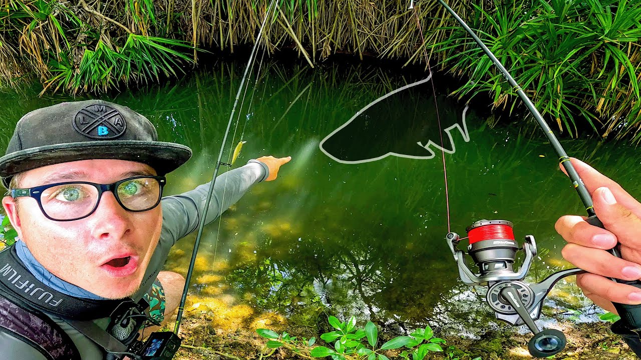 Cette rivière PERDUE est remplie de POISSONS (feat @bardecume )