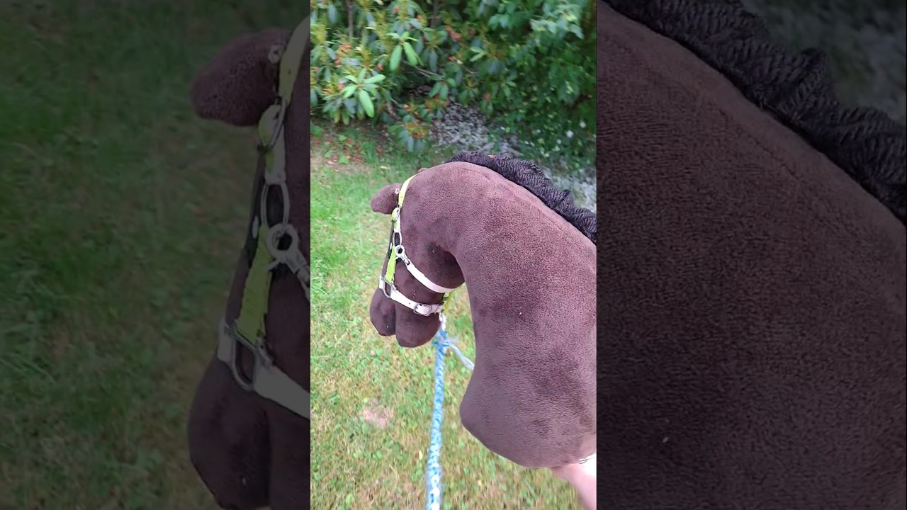 zaprowadzanie koni na padok☀️ #hobbyhorse #hobbyhorsing #hh