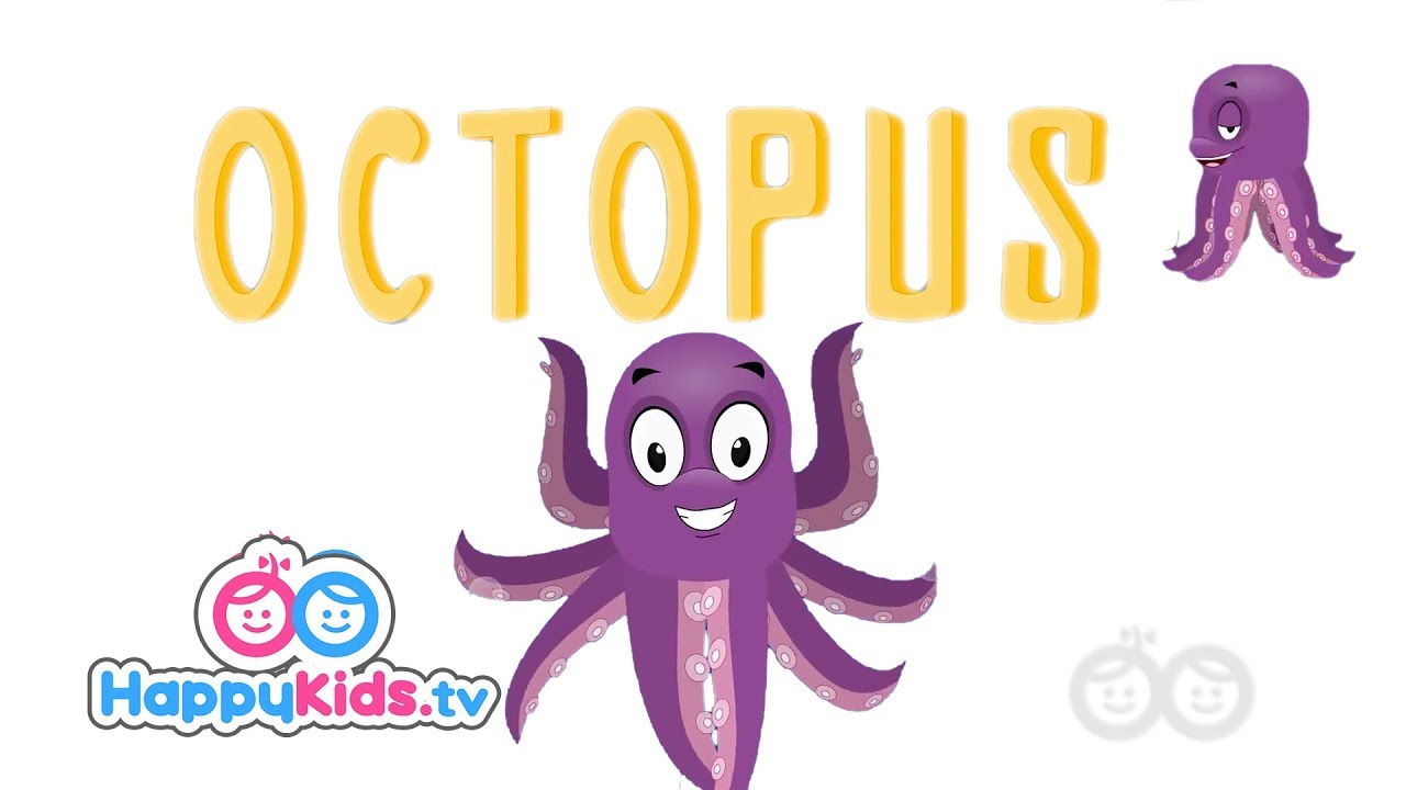Octopus - Learning Songs Collection For Kids And Children | Happy Kids | Jungle Beats