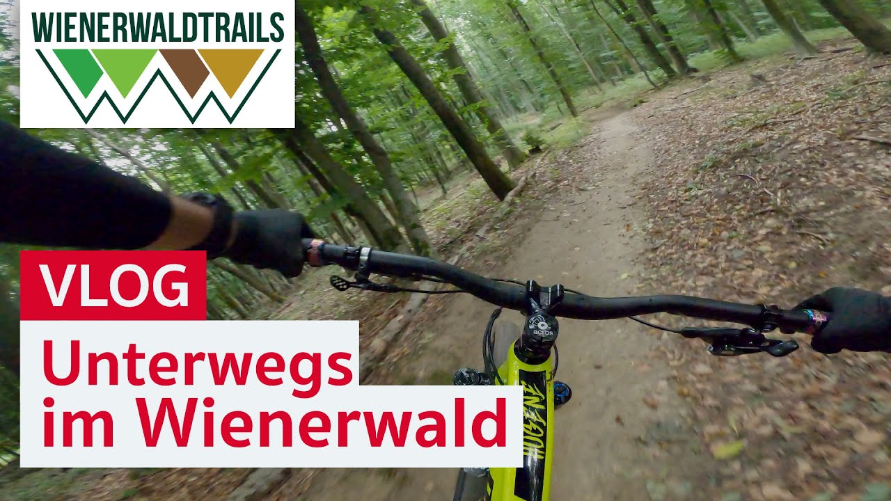 Damit hätte ich nicht gerechnet: meine erste Mountainbiketour in Wien | Trailcenter Weidlingbach