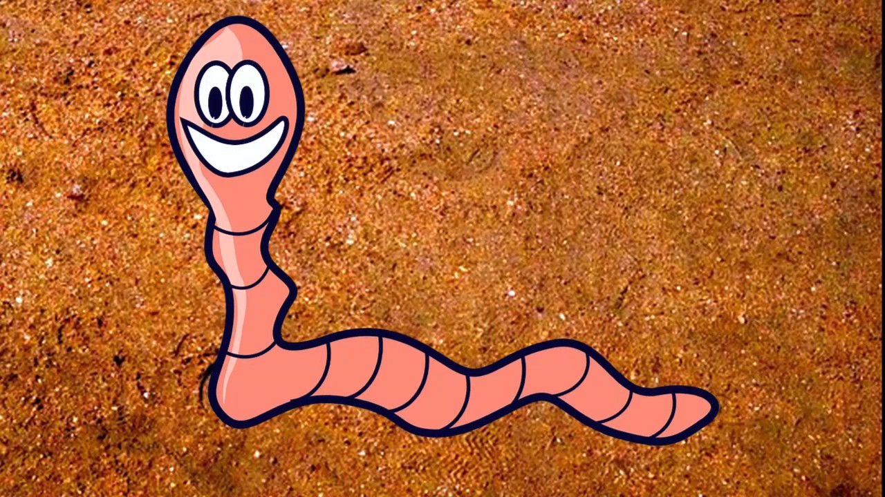 Il lombrico - canzoncina