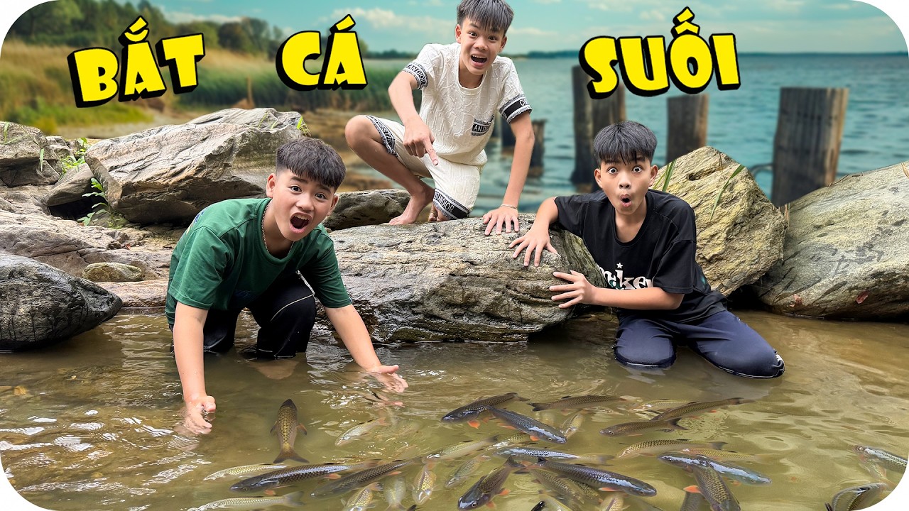 1 Ngày Cắm Trại Và Bắt Hết Cua, Cá, Ốc Dưới Suối | Minh Khoa TV
