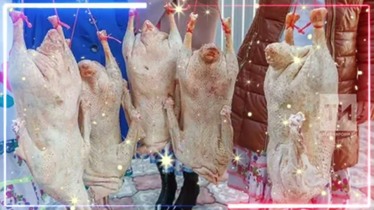 Җәвит Шакиров 