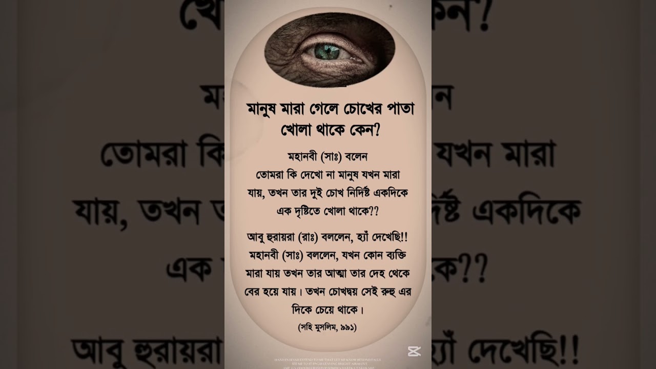 Islamic Video In Bangla #IslamicQuotes #HadithOfTheDay #Muslim #Dua #IslamicReminder