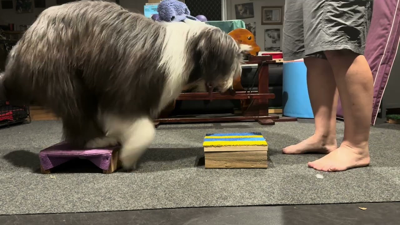 Smokey stand practice 9-02-26