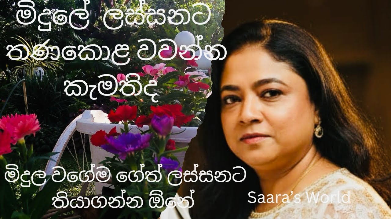 වැඩ ගොඩාක් එක්ක ගෙවුණු ඉරිදාවක්  🏕️🥀#gardendecor #natureflowers #homedecor #cooking 
