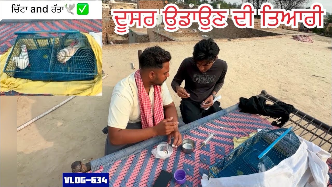 ਲਓ ਜੀ, ਪਹੁੰਚ ਗਏ ਪਿੰਡ-ਸੰਮੇਵਾਲੀ ਦੂਸਰ ਦੀ ਬਾਜ਼ੀ ਤੇ, ਚਿੱਟਾ ਬਗਲ-ਟੂਸੇ ਆਲਾ and ਰੱਤਾ ਲੈਕੇ|| ਦੇਖੋ ਸਾਰੀ video