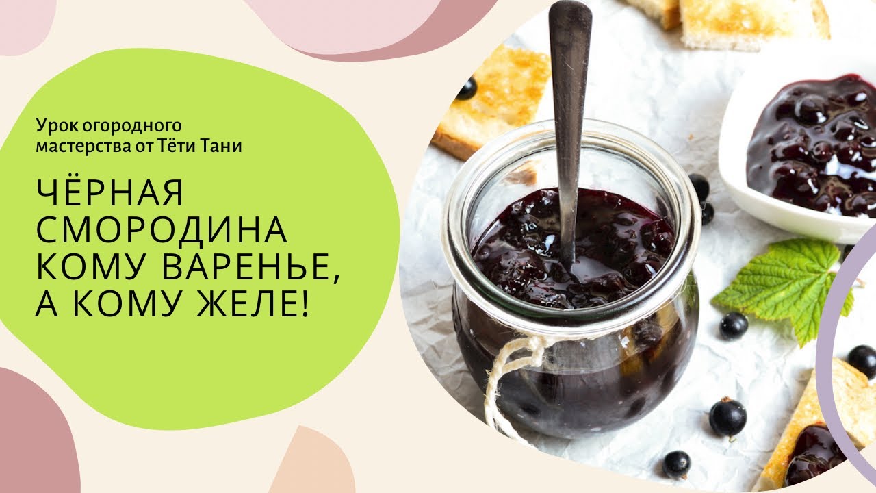937. Черная смородина. Кому варенье, а кому желе!