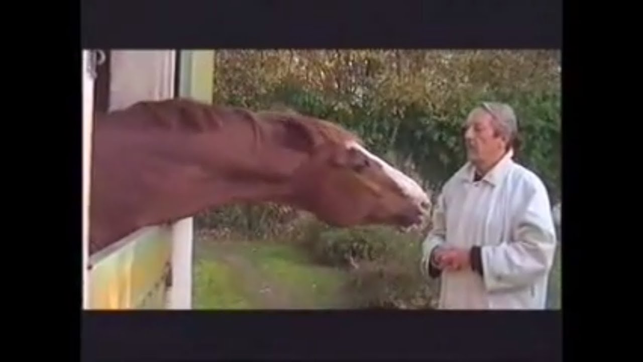 Jean Rochefort même son cheval a de l'humour